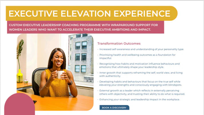 Executive Elevation Experience Individual Coaching Programme The Next
