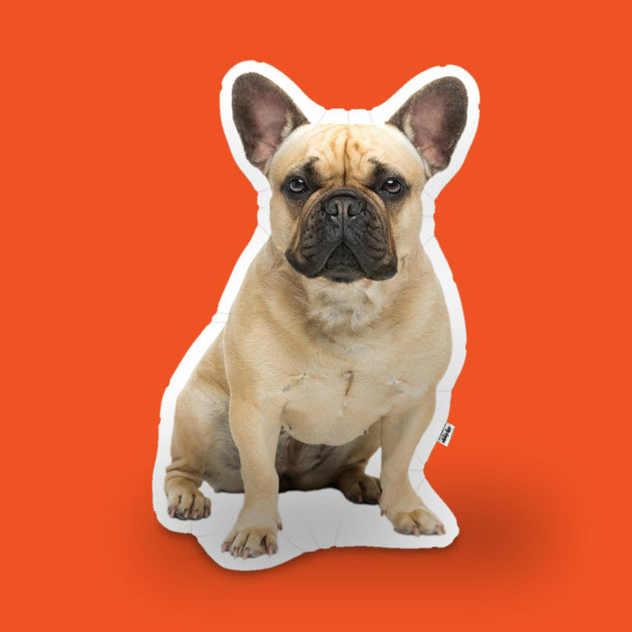 Silly George - Custom Cut-Out Cushion