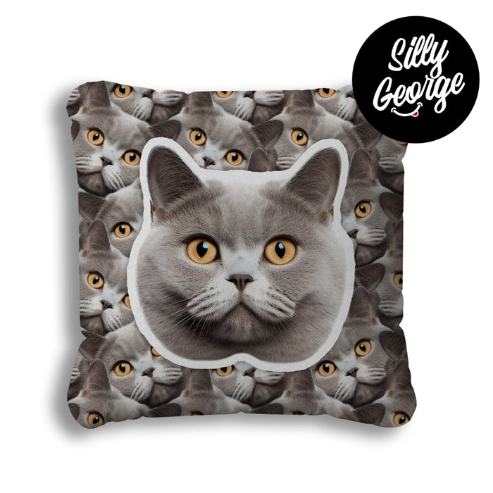 Cat cushion
