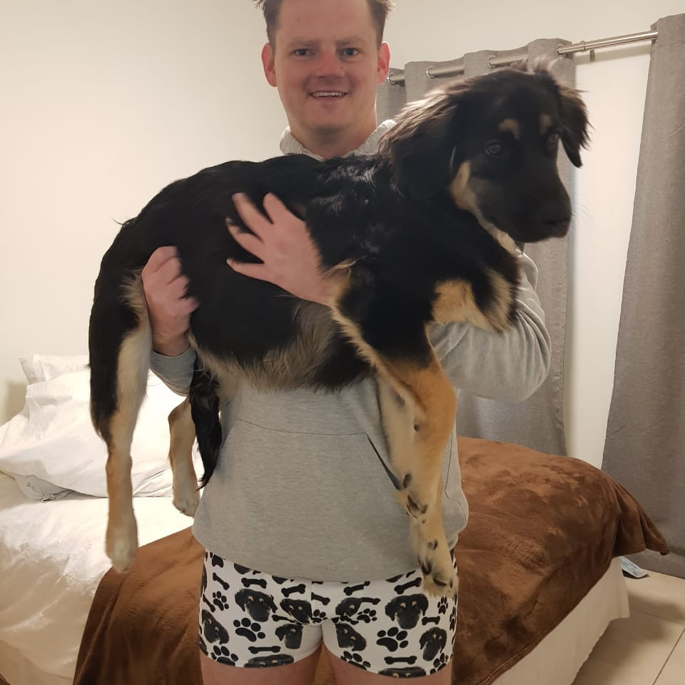 Sox & Jox Custom printed socks, underwear and gifts